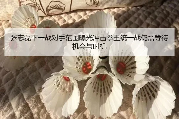 zhang-zhi-lei-xia-yi-zhan-dui-shou-fan-wei-bao-guang-chong-ji-quan-wang-tong-yi-zhan-reng-xu-deng-dai-ji-hui-yu-shi-ji-2-701.jpg